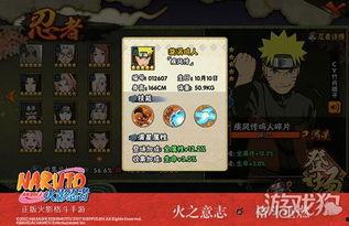 火影手游忍者最新爆料,神秘忍者登场，技能革新引期待！